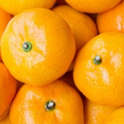 Tangerines