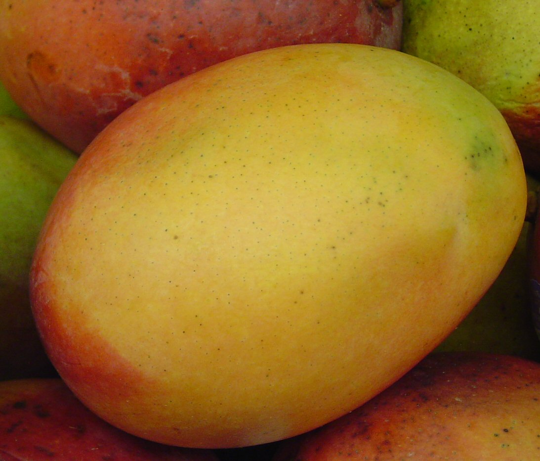 Mango