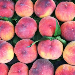 Peaches
