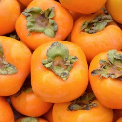 Persimmons